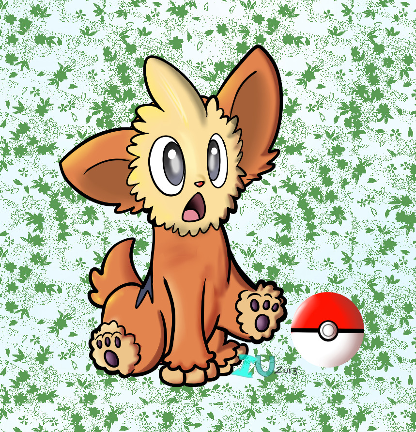 Lillipup