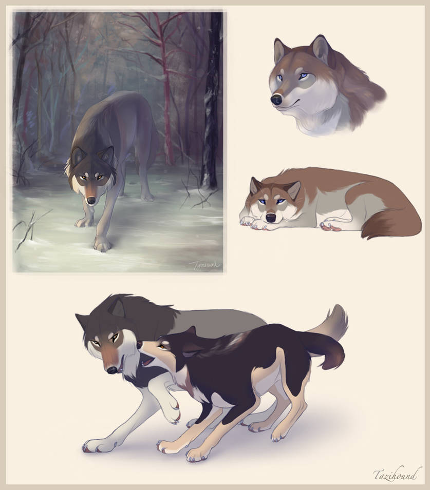 Wolves by Tazihound on DeviantArt