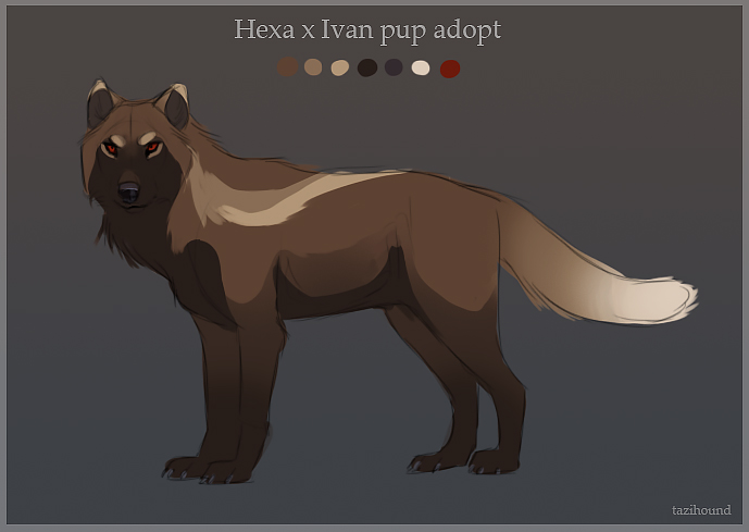 hexa + Ivan pup adopt