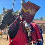 StL Renaissance Festival p30 v11