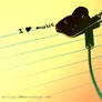 I love music