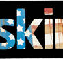 Skins US logo