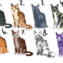 [ OPEN ] Cat Adoptables