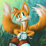 Tails