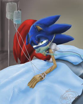 Injured Sonic