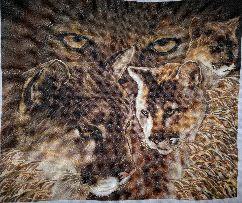 Puma's glare (Cross Stitch) by ouraion