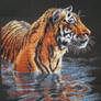 Tiger in water (Cross Stitch)