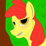 Apple Bloom Shy