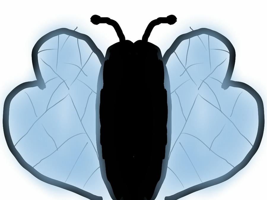 Fly Bug Deviantart FLYING INSECT by zedrex12345 on DeviantArt