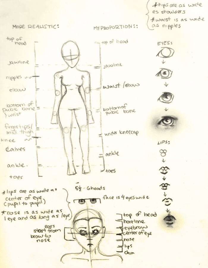 Proportions Tutorial - Female