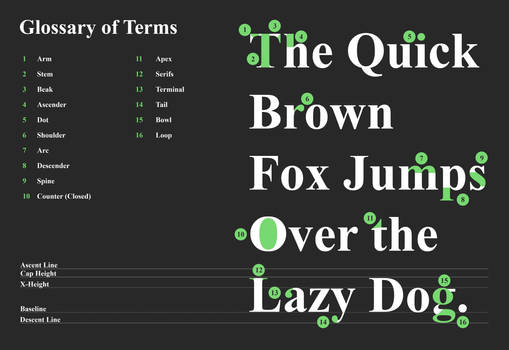 Anatomy of Type