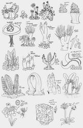 Plant Concepts Sketches