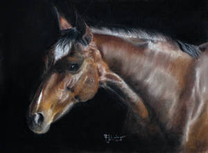 Horse in Pastel