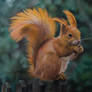 Squirrel - Pastel Pencil Drawing