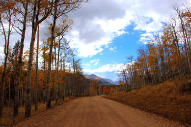 Autumn Afternoon