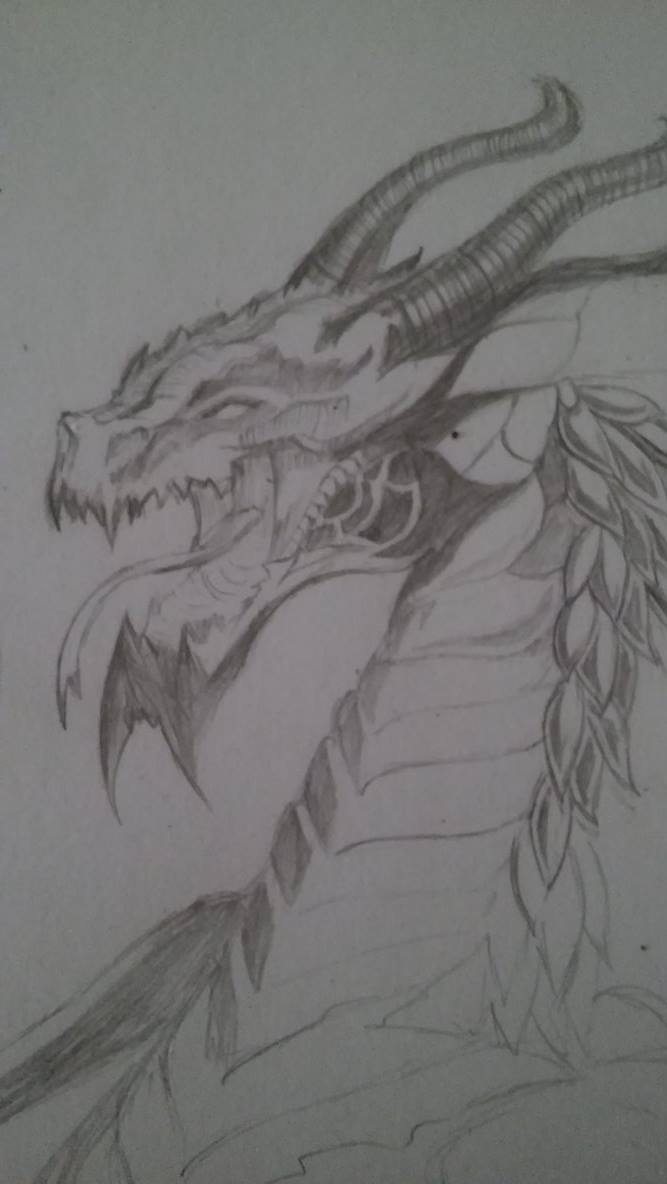 Dwagon by verbcorp on DeviantArt