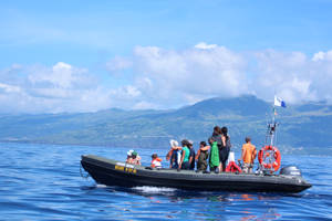 Whalewatching Boat in front of Pico