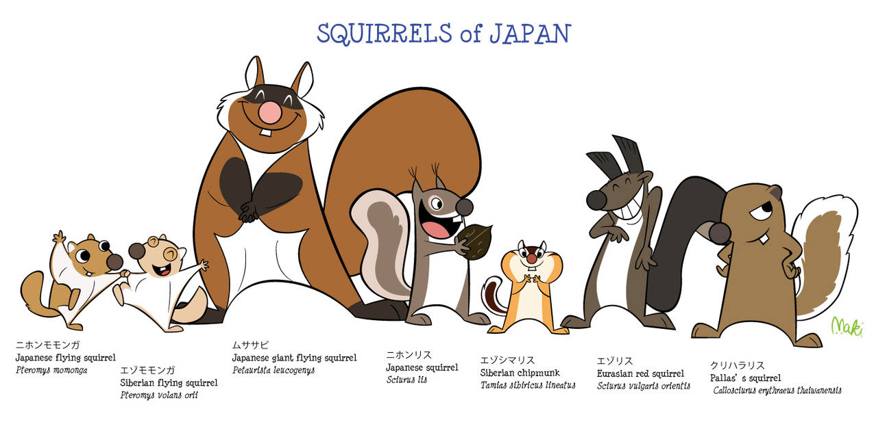 Squirrel Risu squirrels of japan by kuro-risu on DeviantArt