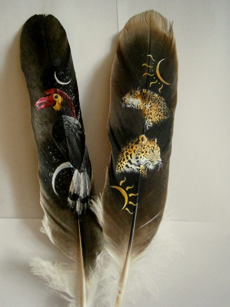 Painted feathers