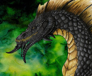 Acidic Black Dragon