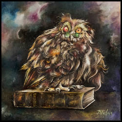 The Intellectual Owl