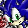 Sonic with an emerald