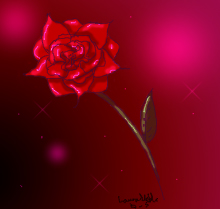 The rose of realisation