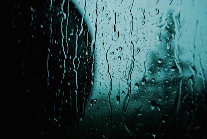 Love runs down with rain.