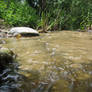 creek in cali