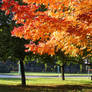 Autumn at Hungary