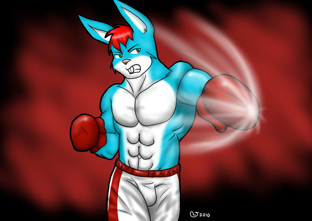 Anthro Rabbit Boxer Bunny Boxer color by CaseyLJones on DeviantArt