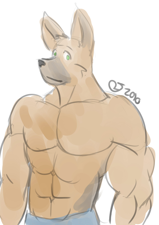 German Shepherd Guy