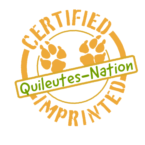 QN certified IMPRINTED