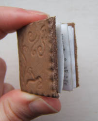 Miniature book