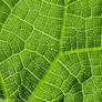 NaturArt 47