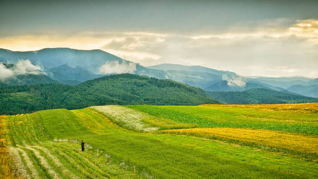 Rainbow fields