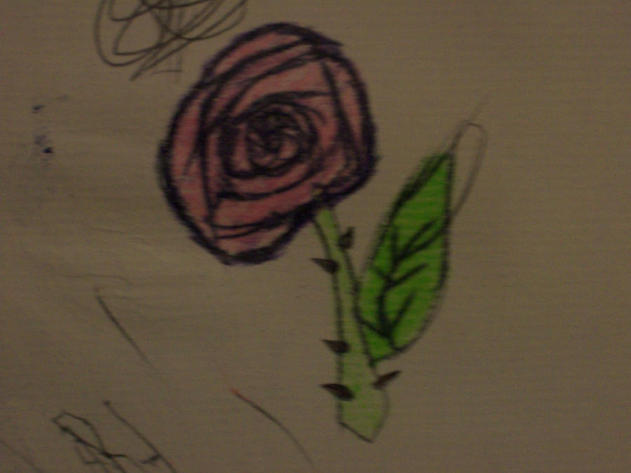 random rose 2