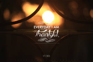 17/365 EVERYDAY I AM THANKFUL