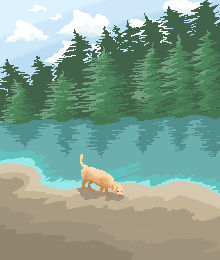 Dog by a lake