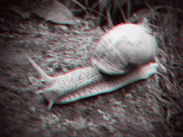 3d snail