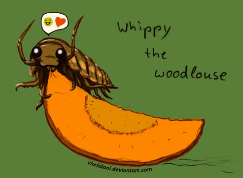 Whippy the woodlouse