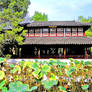 Chinese  Garden  Suzhou
