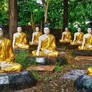 Garden of the Buddhas