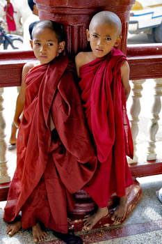 Young Burmese Monks