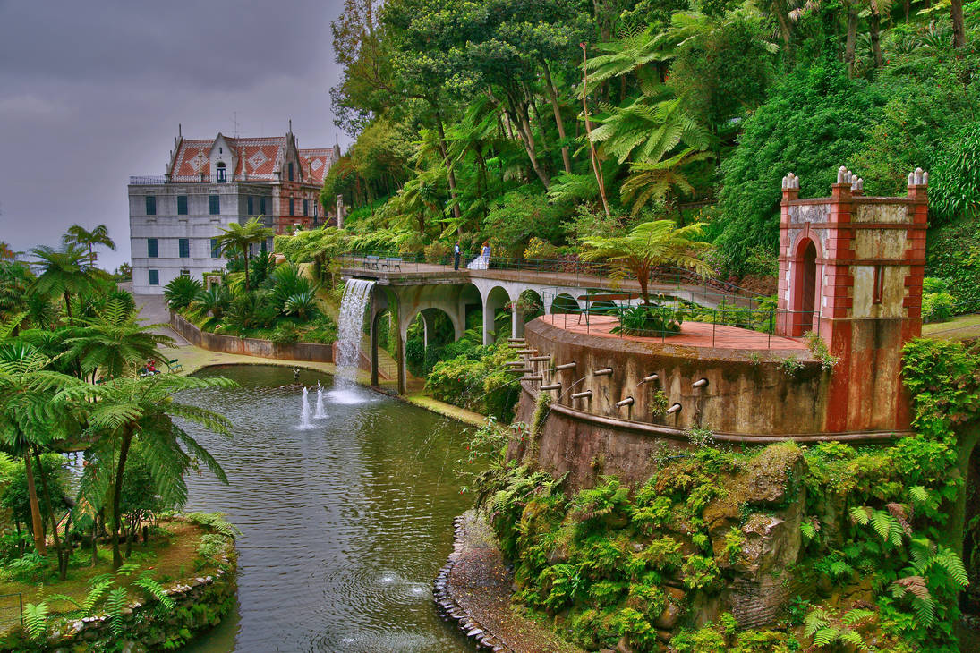 Рисунки красивых мест. Тропический сад Монте Португалия. Мадейра дворец Монте. Тропический сад дворца Монте. Тропический сад Монте (г. Фуншал).