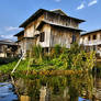 House On Stilts