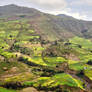 Beautiful  Ethiopia