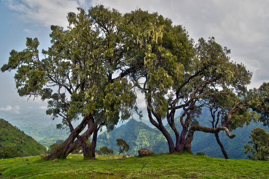 Beautiful Ethiopia 6