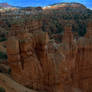 Bryce  Canyon  Afternoon