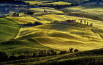 Tuscan Carpet by CitizenFresh